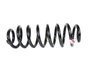 SPRING REAR COIL - image 2