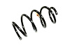 SPRING FRONT COIL - image 1