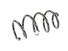 SPRING FRONT COIL - image 1