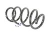 SPRING FRONT COIL - image 2