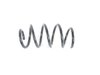 SPRING FRONT COIL - image 3