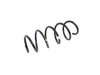 SPRING FRONT COIL - image 2