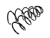 SPRING FRONT COIL - image 1