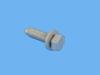 SCREW HEX HEAD