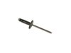 RIVET - image 4