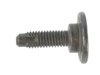 SCREW - image 3