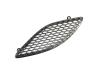 BEZEL HOOD - image 1