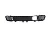 GRILLE LOWER - image 3