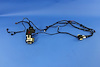 WIRING CHASSIS - image 1