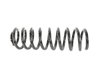 SPRING FRONT COIL - image 3