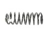 SPRING FRONT COIL - image 4
