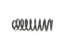 SPRING FRONT COIL - image 3