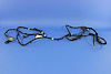 WIRING CHASSIS - image 1