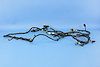 WIRING CHASSIS - image 1