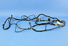 WIRING CHASSIS - image 1
