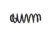 SPRING FRONT COIL - image 3