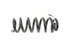 SPRING FRONT COIL - image 3