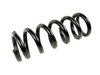 SPRING FRONT COIL - image 2