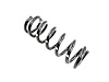 SPRING FRONT COIL - image 1