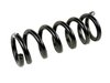 SPRING FRONT COIL - image 2
