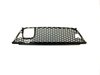 GRILLE LOWER - image 2