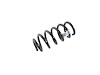 SPRING FRONT COIL - image 1