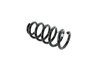 SPRING FRONT COIL - image 2