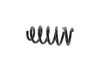 SPRING FRONT COIL - image 3