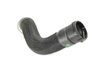 HOSE RADIATOR OUTLET - image 2