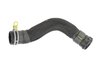 HOSE RADIATOR OUTLET - image 3