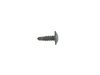 SCREW - image 3