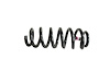 SPRING FRONT COIL - image 1