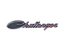 NAMEPLATE CHALLENGER - image 1