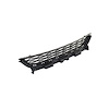 GRILLE LOWER - image 1