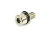 SCREW - image 1