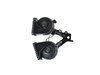 HORN - image 4