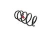 SPRING FRONT COIL - image 4