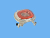 LAMP BACKUP - image 1