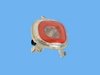 LAMP BACKUP - image 2