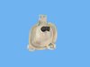 LAMP BACKUP - image 3