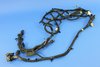 WIRING CHASSIS - image 3
