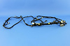 WIRING CHASSIS - image 1