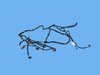 WIRING FRONT END MODULE - image 3