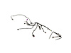 WIRING SLIDING DOOR RIGHT - image 1
