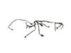 WIRING SLIDING DOOR RIGHT - image 4
