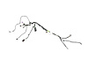 WIRING SLIDING DOOR RIGHT - image 1