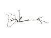 WIRING SLIDING DOOR RIGHT - image 2