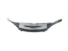 GRILLE RADIATOR - image 3