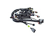 WIRING ENGINE - image 1