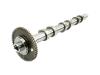 CAMSHAFT EXHAUST - image 1